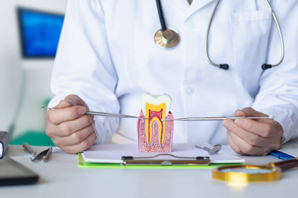 Best Knocked-Out Tooth Emergency  in Streamwood, IL